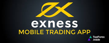 Discover the Advantages of Trading with Exness Qatar 13