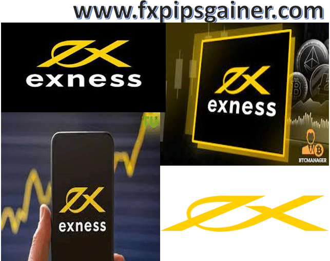 Understanding Exness Member Aria Your Guide to a Seamless Trading Experience